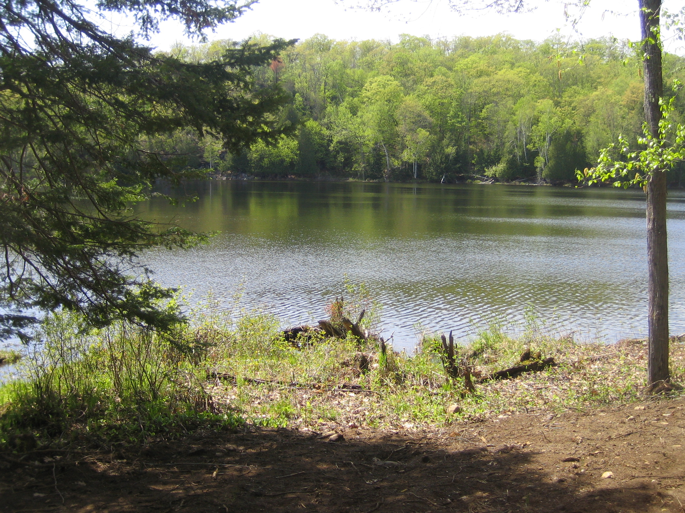 3189 COUNTY ROAD 3 Road, Carrying Place, Ontario, Canada - Residential Land  For Sale at GLOBAL LISTINGS